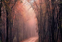  又见绝平！拜仁慕尼黑与莱比锡鏖战至终场，谢震业读秒救主